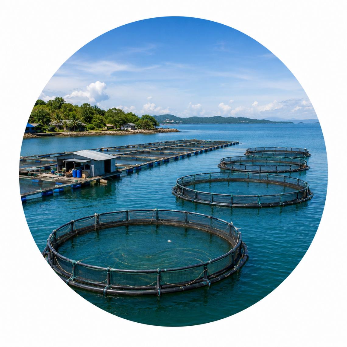 Khu nuôi trồng thủy sản